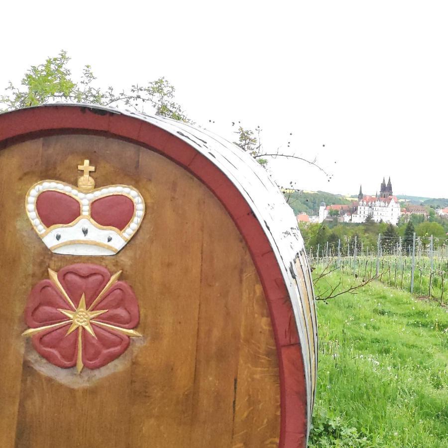 Goldrausch - Glanzvolle Ferienwohnung In Meissen Am Lutherplatz Exteriör bild